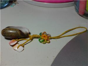 shell handphone strap 01 *FREE POST*