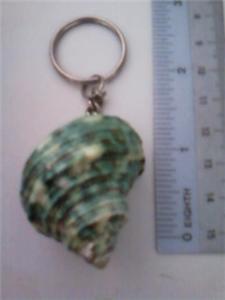 Assort BN Key Chain