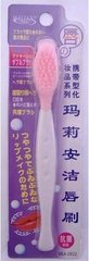 BN Lip brush 