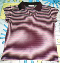 BN striped polo tee