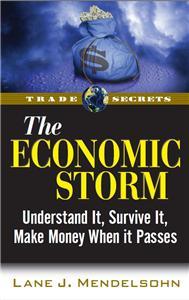 The Economic Storm