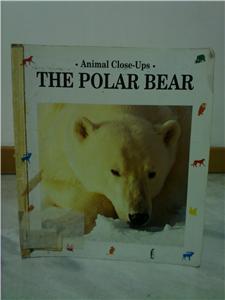 Animal Close-Ups [The Polar Bear]