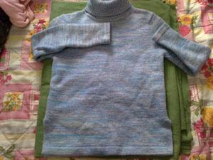 Turtle Neck Long Sleeve Woolen Top