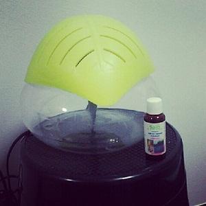 RESERVED Salo Air Purifier+Lavender Scent