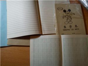 micky Chinese character practice book