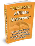 Successful Affiliate Strategies