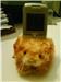 kitty handphone holder..been with me for a very long time but havn't used it at all. hopefully fits handphones of all sizes..handphone in picture not included.

preferably meetups at north, west or town area.. preferably woodlands..

contactable at asyakirah@hotmail.com
