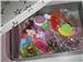 See anything you like? Email me then!

Postage and handling would be at least $0.50, at most $1.00.


**DO NOT CLICK BUY NOW!!!
