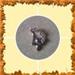A Pendant.

Mailing cost 40cent borne by buyer.

Not responsible for lost /damaged mail


