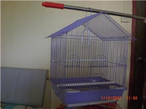 Bird Cage