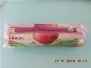 Red Colour Plastic Pencil box