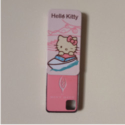 Hello Kitty Candy Case