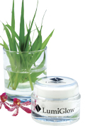 Your D.I.Y and Holistic Way To Beauty and Health