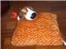 This cushion was a collection from Macdonald.

Meetup place: Woodlands / Yishun / Sambawang MRT @ lunch time  during weekday and SengKang MRT @5pm during Sunday.