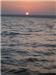 Photo: 2304x3072 (JPEG: 1.8M)

For to get it: SEND ME your e-address...
