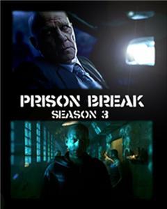 Looking for Prison Break DVD (Season 3)