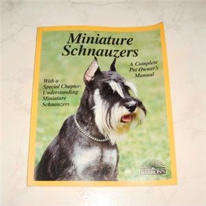 Miniature Schnauzers