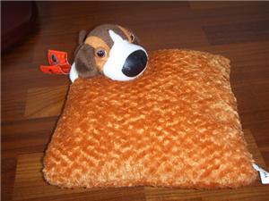 Dog & Cushion