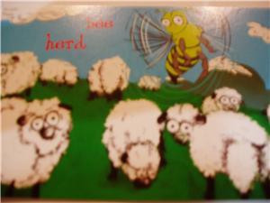 Beautiful Australia postcard_sheep