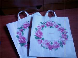 2 New taka paper bag