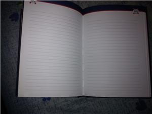 Diary for 2013