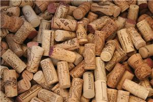 Wine Cork