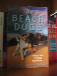 The beach dogs by Andy Jennings